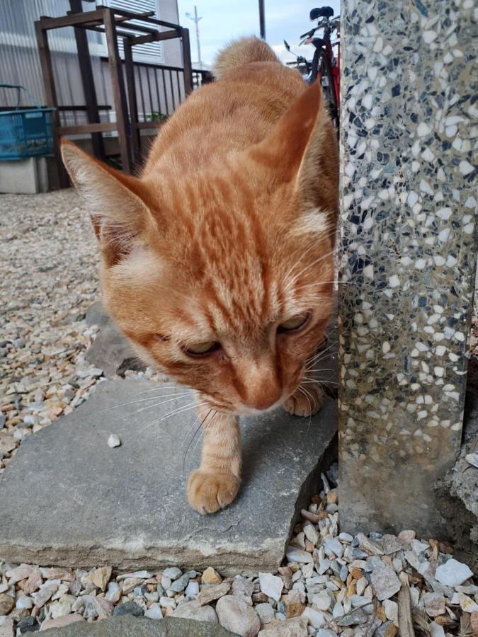 Homestay Hallelujah Moroyama